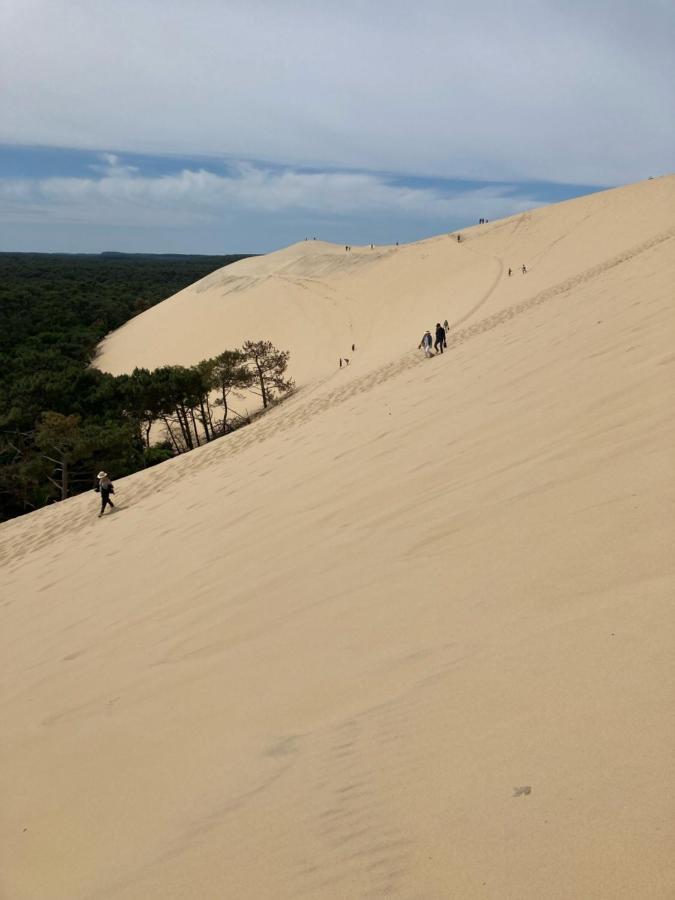 Village Seasonova Bassin D'Arcachon 欧当日 外观 照片