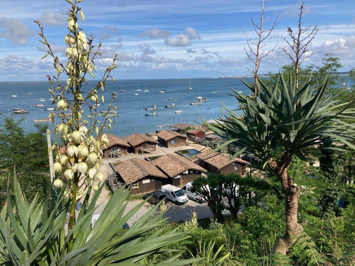 Village Seasonova Bassin D'Arcachon 欧当日 外观 照片